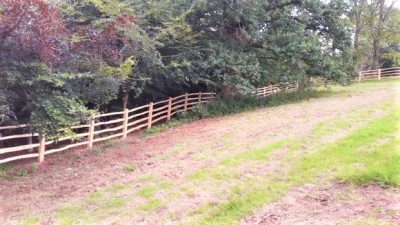 coppice fence